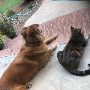 Meet your Posher, Claudia